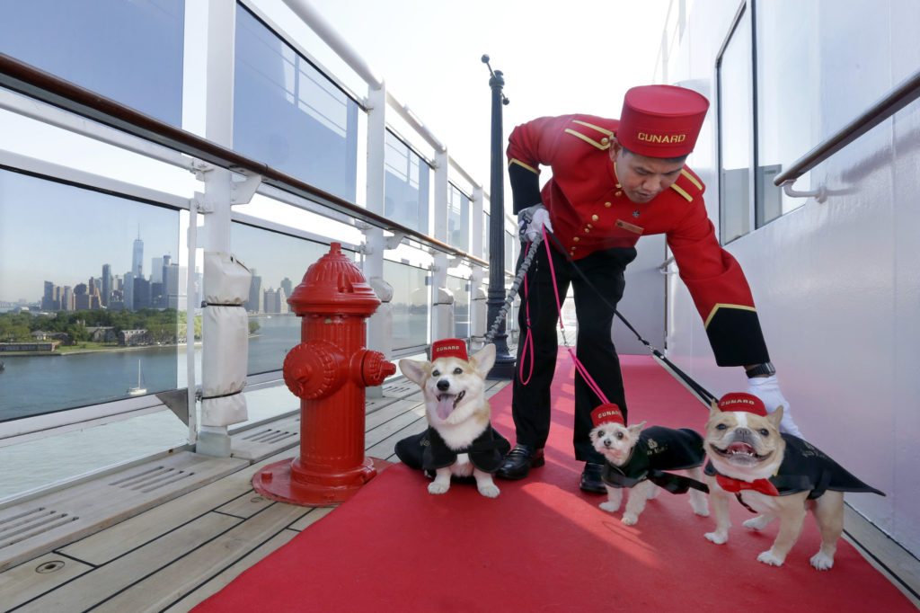 PET FRIENDLY QUEEN MARY 2 MAKES TRACKS