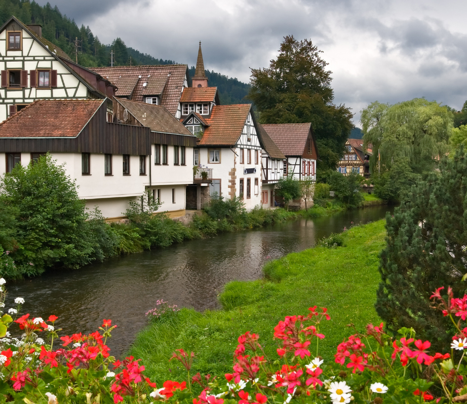 Black Forest
